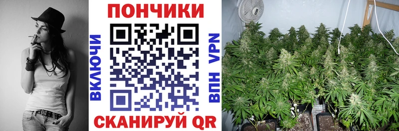 Наркошоп купить COCAIN  СОЛЬ  Меф мяу мяу  Гашиш  Псилоцибиновые грибы  Бошки Шишки  Куса