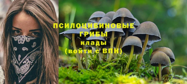 прущие крисы Бронницы