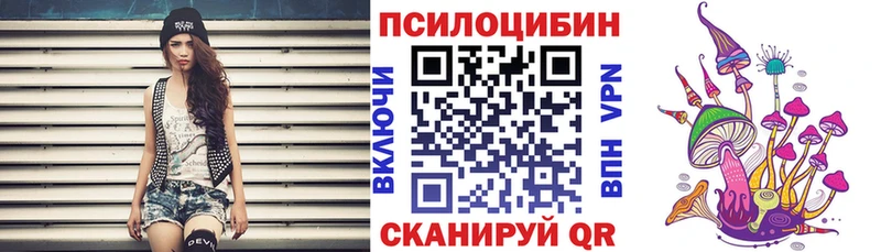 Купить  Куса  Псилоцибиновые грибы GOLDEN TEACHER 